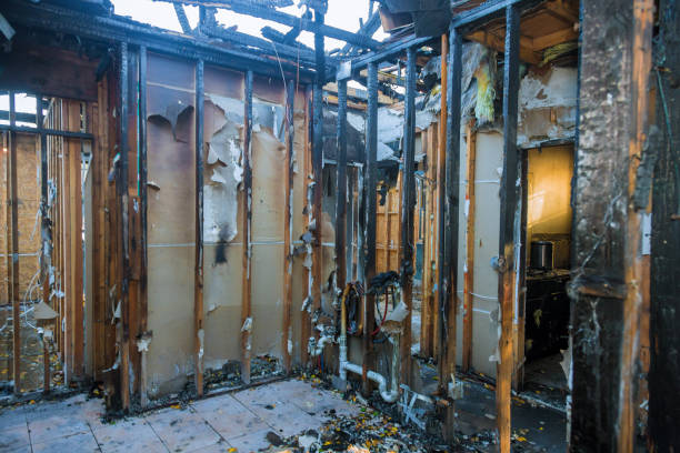 Professional Fire Damage Removal technician working in Webster, TX