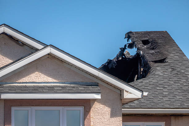 Top rated local Fire Damage Removal specialists in Webster, TX